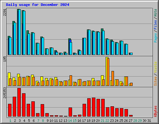 Daily usage for December 2024