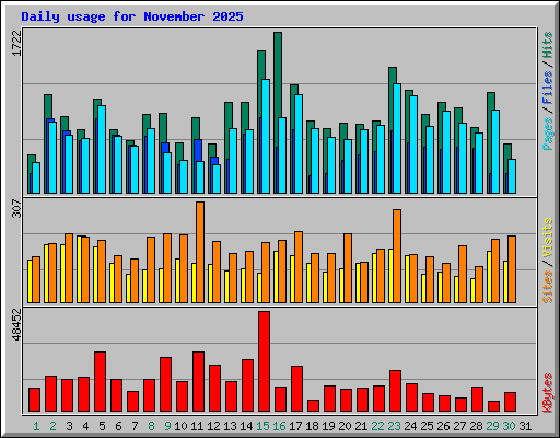 Daily usage for November 2025