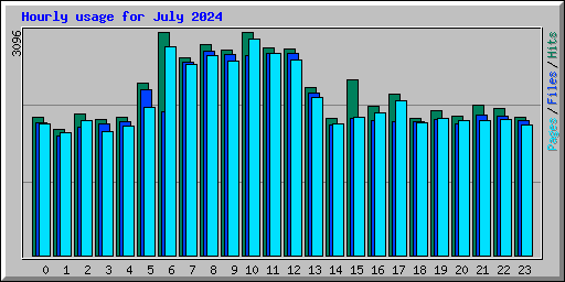 Hourly usage for July 2024