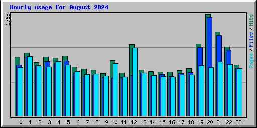 Hourly usage for August 2024