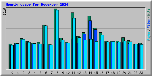 Hourly usage for November 2024