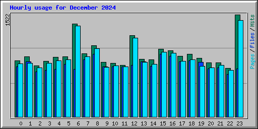 Hourly usage for December 2024