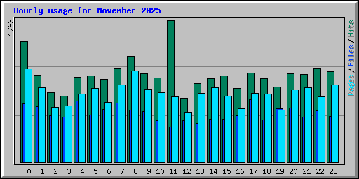 Hourly usage for November 2025