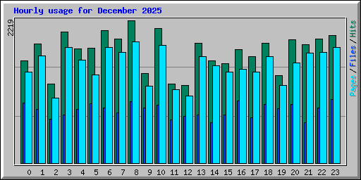 Hourly usage for December 2025