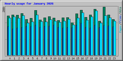 Hourly usage for January 2026