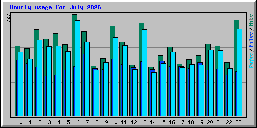 Hourly usage for July 2026