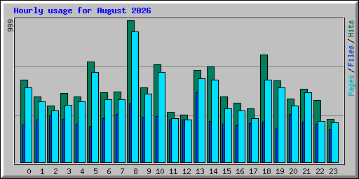 Hourly usage for August 2026